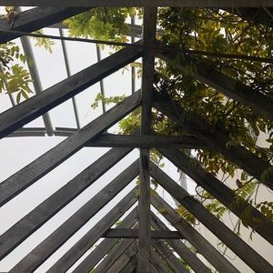 Meet your Posher, Paula